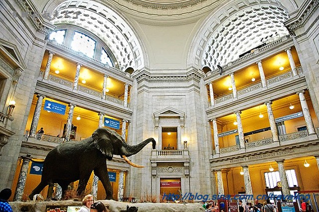 《博物馆奇妙夜2》什么时候上映