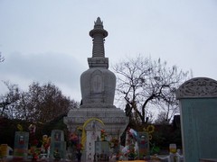 昭觉寺图片