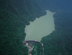鲤鱼潭图片
