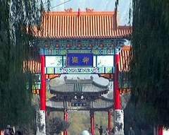 柳湖图片