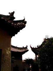 普化寺图片