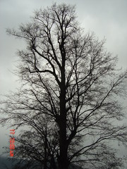 DSC02418
