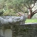 江苏 南京 明孝陵