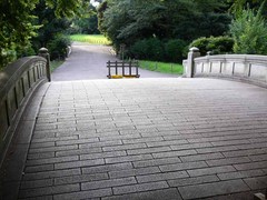 东京代代木公园图片