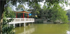 柳侯公园图片