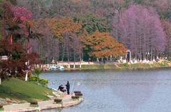 麓湖公园图片