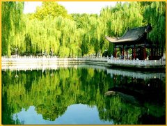 珍珠泉图片
