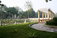 广西大学图片
