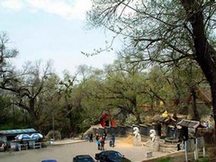 龙潭山公园图片