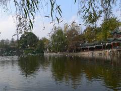 翠湖公园