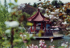 青岛中山公园图片
