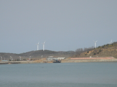 大长山岛图片