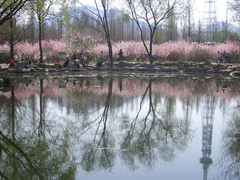 济南植物园图片