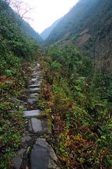 高黎贡山自然保护区图片