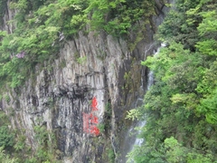 三百山图片