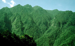 五指峰图片