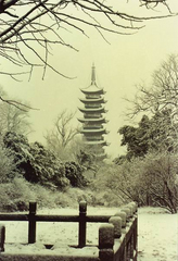 方塔图片