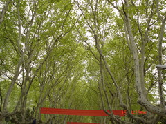 DSC01995