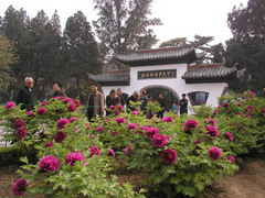 王城公园图片