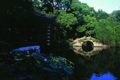 绮园图片