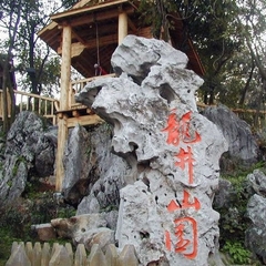 龙井问茶图片