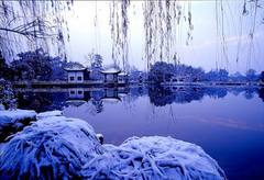 断桥残雪图片