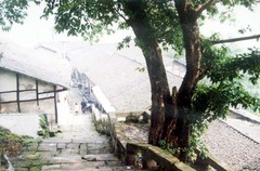 三道拐古街图片