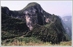 龙缸图片