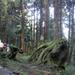  阿里山 台湾 嘉义 阿里山