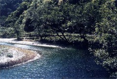 康县阳坝图片