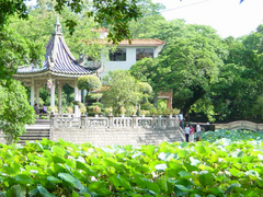 潮州西湖图片