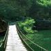 京东大峡谷