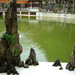  仙湖植物园 广东 深圳 仙湖植物园