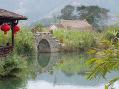 金林水乡