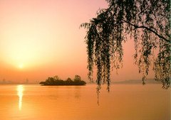 fuyxi_1