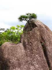 梦笔生花图片