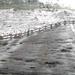 福建 武夷山 虎啸岩