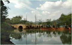 杨公堤图片