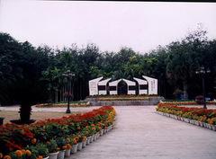春欢公园图片