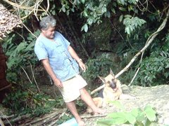 苏梅岛 DOG