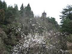 六奇阁照片第3张