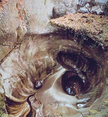 狮子纪念碑 狮子纪念碑3