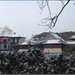 小莲庄