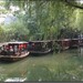 浙江 湖州 小莲庄