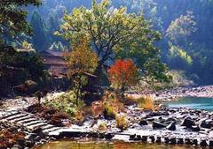 林坑古村图片