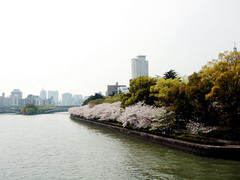 日本桥 