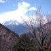 西藏 山南 达美拥雪山