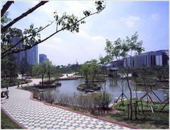 汝矣岛公园图片