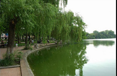 剑湖图片