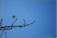 贵阳图片